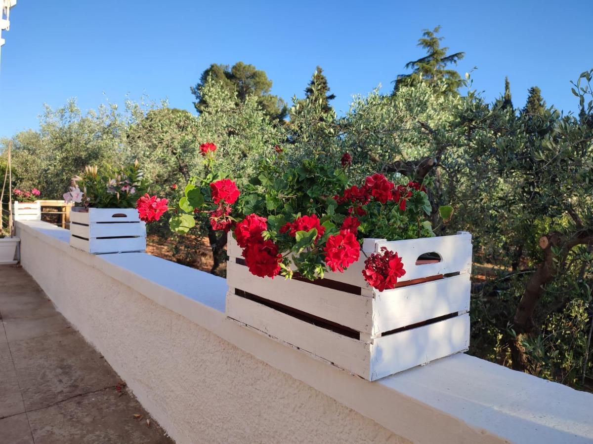 Porta Sugli Ulivi Villa Monopoli Bagian luar foto